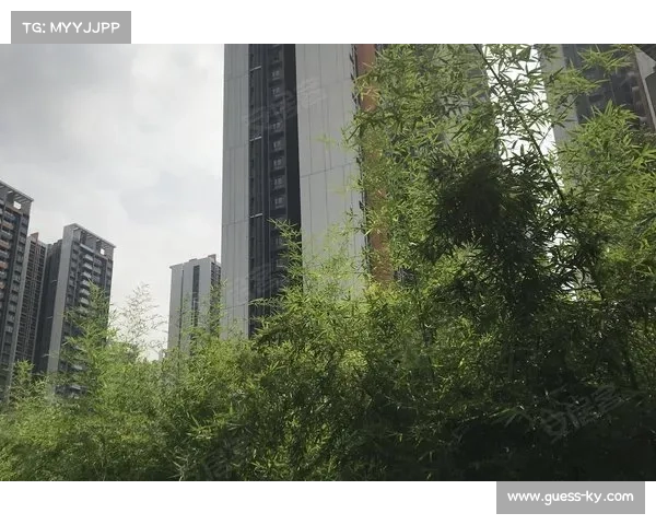 计成点评环上海新城赛道设计更具科学性与可持续性分析